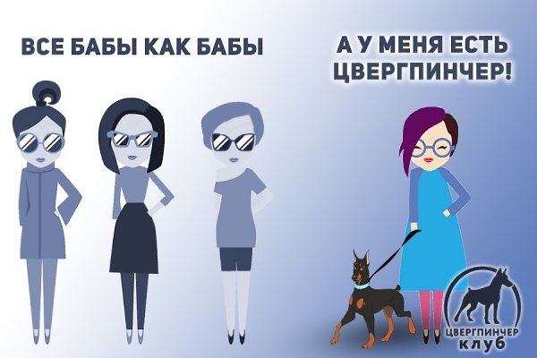     ,   ! [https://vk.com/zwergpinscherclub| ]