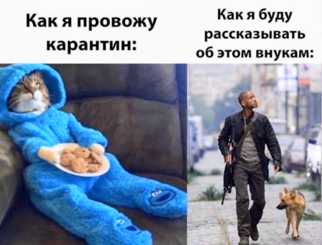    :D - 5  2020  19:13