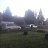 ���� ��������, ����������, 45 ��� - ��������� 6 ������ 2020