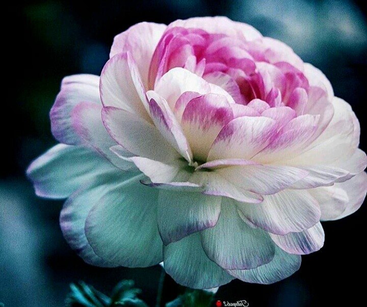   ,    . - 29  2020  22:44