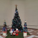 ���� ����, ������ - ��������� 14 ����� 2020 � ������ ���� ����������