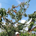 ���� ������, ������ - ��������� 29 ���� 2020 � ������ ���� ����������