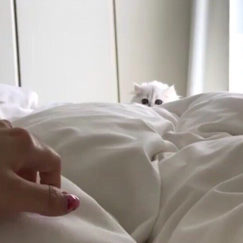 oayc, poec, o a ao! oco o x eoe aaee. - 6