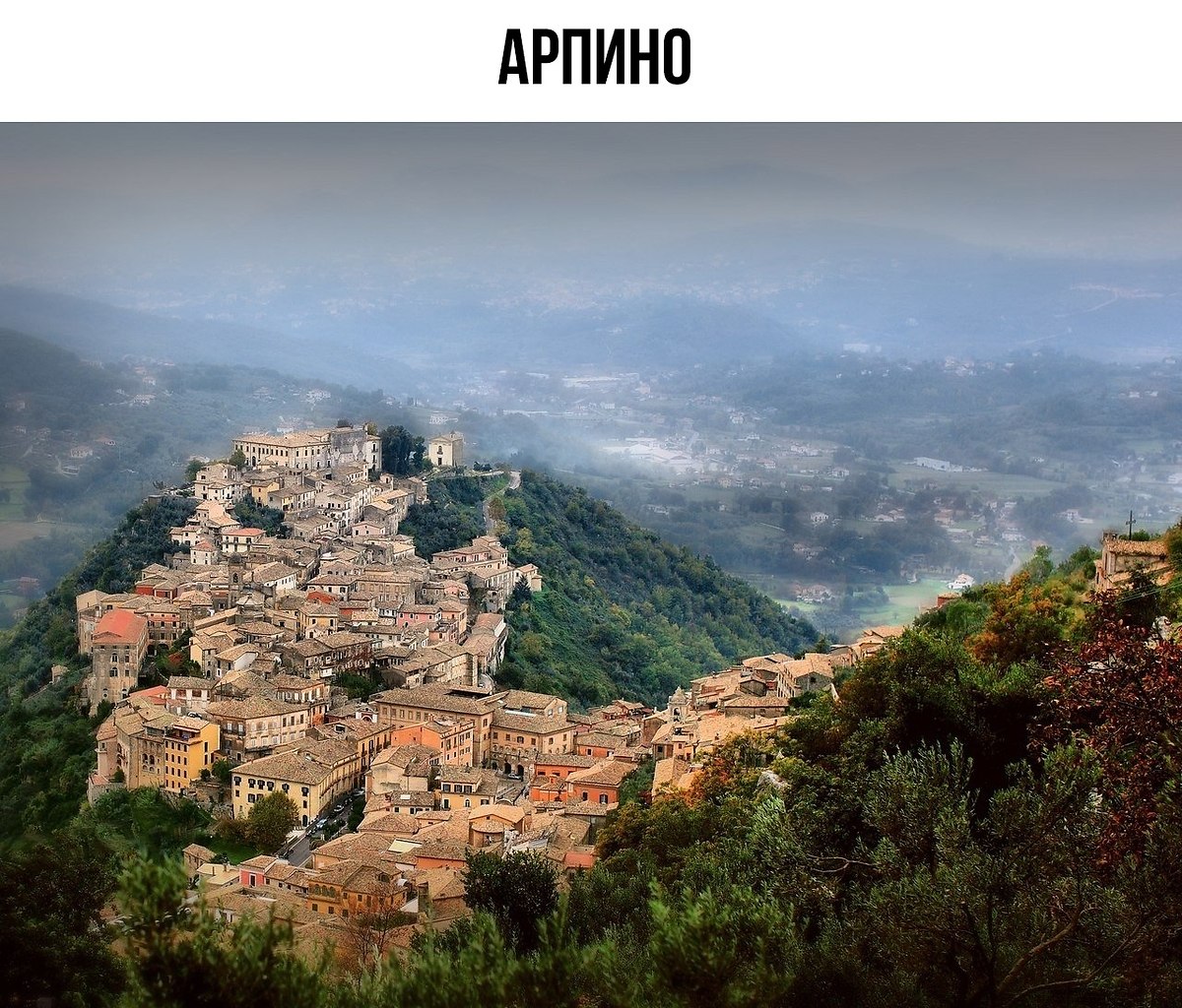  (Arpino)    ,    .      ...