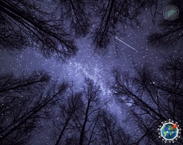 � �� �a �pa��, � ��a�a �o� �a�o�����c� ����a��. o��a � �oc�e���� pa� �� ���e�� ��e���oe �e�o? ... - 2