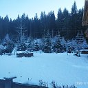 ���� �������, ����� - ��������� 7 ������� 2020 � ������ �������-��������