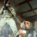 ���� ���������, �����-��������� - ��������� 5 ������ 2020 � ������ ������ ��������