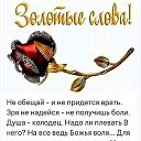 ���� ��������, ������ - ��������� 31 ������ 2020 � ������ ������ ��������