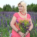  , , 70  -  5  2020    202  2020 0 ,      ...