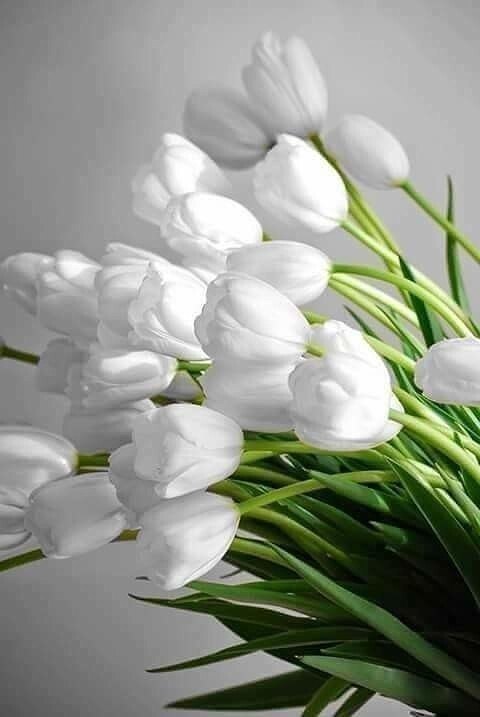 ...  ,         ,  , ...