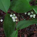 ���� ��������, Kouvola, 78 ��� - ��������� 10 ���� 2020 � ������ ������