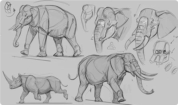 Art  |  - 23  2020  18:38