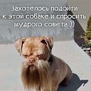 ���� ������, �������, 56 ��� - ��������� 2 ���� 2020 � ������ ������ ��������