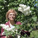 ���� �����, ����������, 58 ��� - ��������� 17 ��� 2020 � ������ ���� ����������