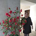 ���� ������, ������� ���, 61 ��� - ��������� 14 ����� 2020 � ������ ������ ��������
