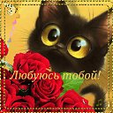���� ����, ������ - ��������� 22 ��� 2020 � ������ ������ ��������