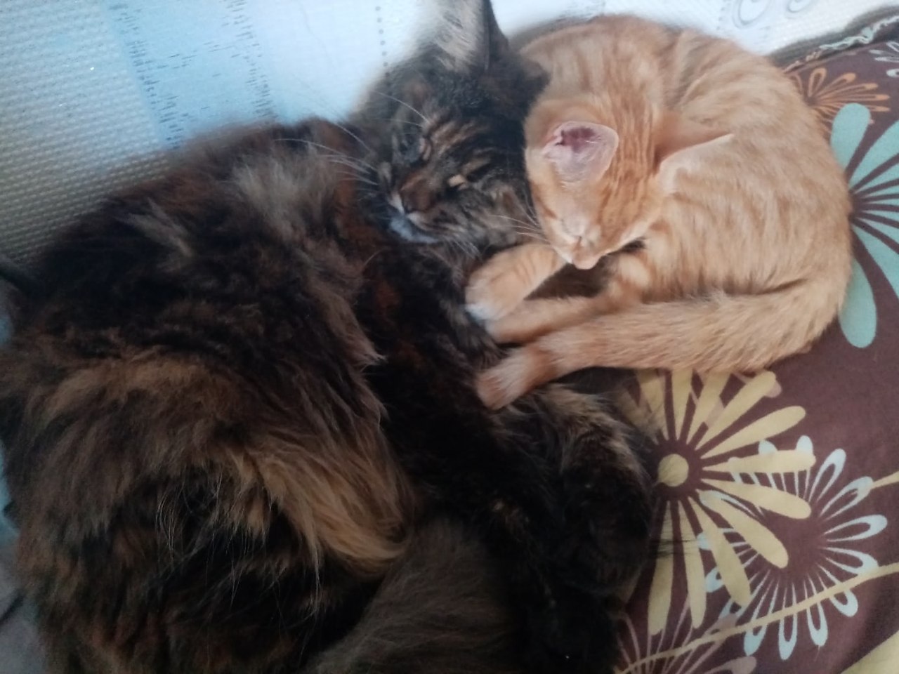  !          5  , 2   ... - 5