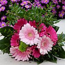 ���� ___����, �������� - ��������� 18 ���� 2020 � ������ �������