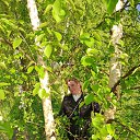 ���� ��������, �����-���������, 50 ��� - ��������� 5 ���� 2020 � ������ ���� ����������