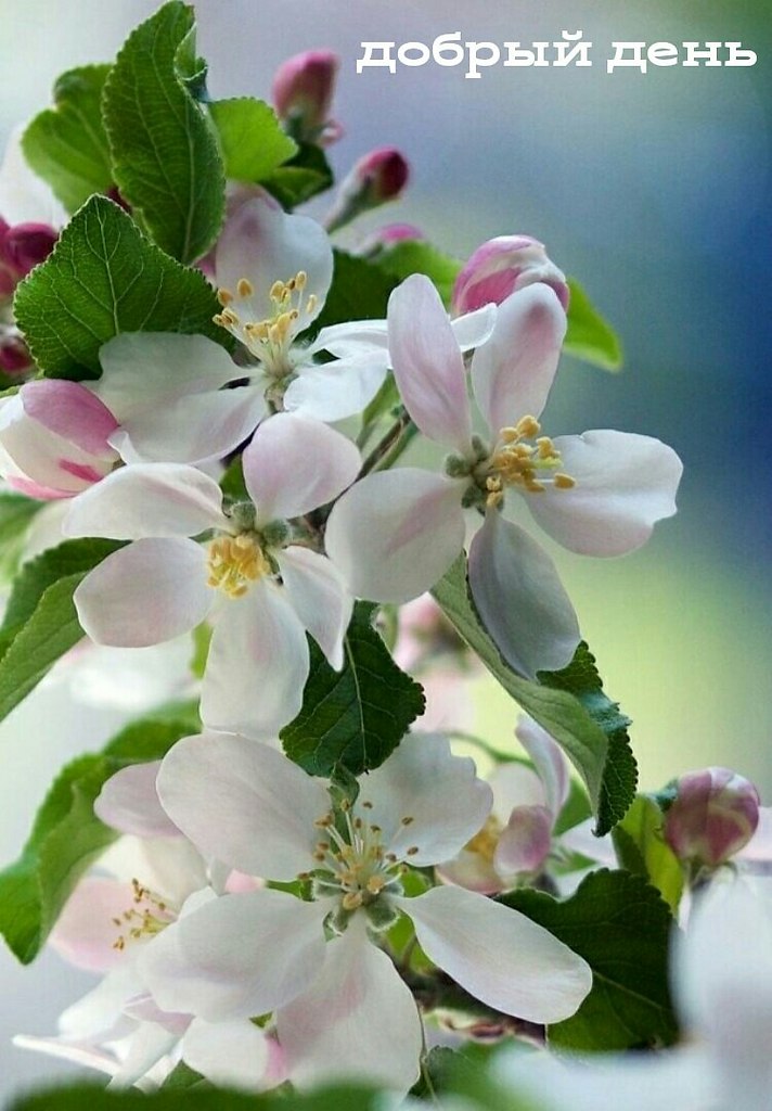   ,    . - 14  2020  15:22