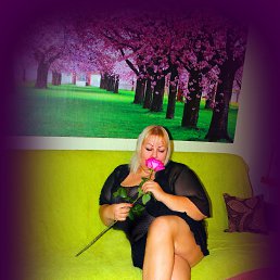 ����������, �����������, 48 ���