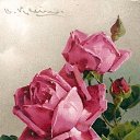 ���� ������, ������ - ��������� 3 ������� 2020 � ������ ������ ��������