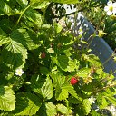 ���� ������, ������ - ��������� 30 ���� 2020 � ������ ����� � ����� �� ����