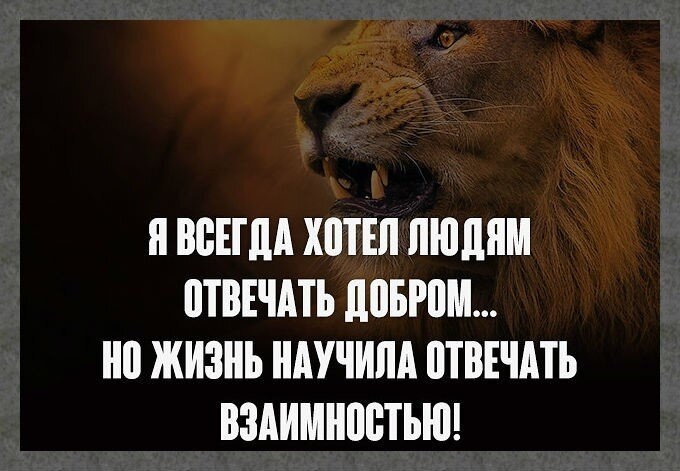 Людям надо отвечать взаимностью. Я всегда хотела отвечать людям добром. Я всегда хотела отвечать людям добром но жизнь научила. Я хотел всегда хотел отвечать людям добром. Цитаты про гнилых людей.