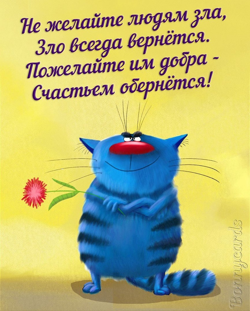  - 12  2020  06:58