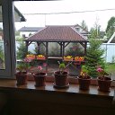 ������ ��� )