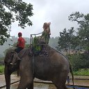 ���� �, ������ - ��������� 25 ������� 2020 � ������ ���� ����������