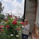 ���� ���������, ����� - ��������� 2 ���� 2020 � ������ ���� ����������