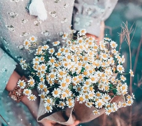       ?   ,     .  ,   ...