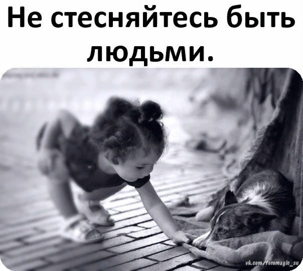 ����� ����� @ ������ - 7 ������� 2020 � 23:13