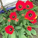 ���� ��������, ������ �������� - ��������� 15 ��� 2020 � ������ ���� ����������