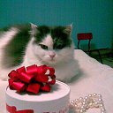 ���� �����, ������ - ��������� 16 ����� 2020 � ������ ���� ����������