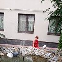 ���� ������, ������������, 51 ��� - ��������� 22 ���� 2020 � ������ ���� ����������