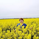 ���� �����, ����������, 47 ��� - ��������� 3 ��� 2020 � ������ ���� ����������