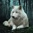 ���� Wolfgrey, �������, 42 ���� - ��������� 25 ������ 2020