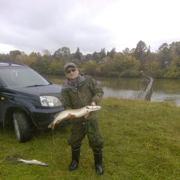 ���� �������, �����������, 48 ��� - ��������� 8 ������� 2020