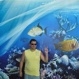 Alex, �����, 40 ���