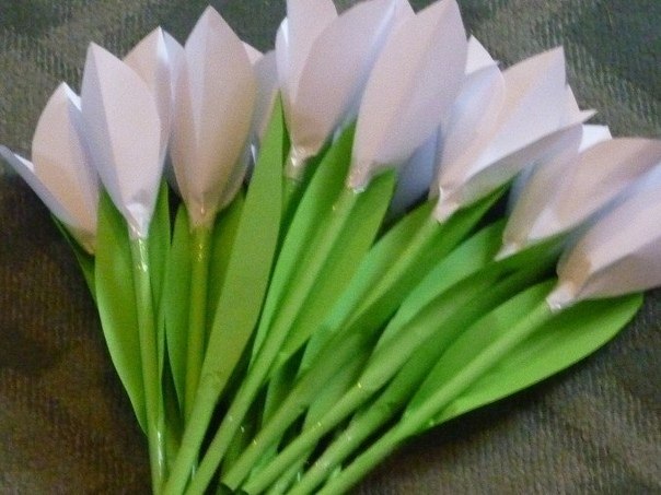 pa o   ya  pa!    ea!