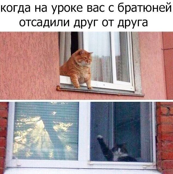 ������� - 2 ������ 2020 � 19:05