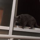 ���� ����, ������, 29 ��� - ��������� 10 ��� 2020 � ������ ���� ����������