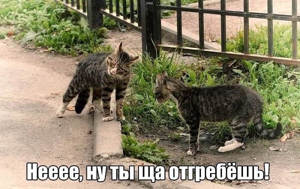 ������� - 13 ������ 2020 � 19:13