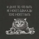 ���� �������, �����-���������, 36 ��� - ��������� 22 ��� 2020 � ������ ���� ����������