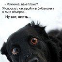 ���� ���������, ������ - ��������� 15 ��� 2020 � ������ ���� ����������