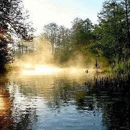 ���� �������, �������������� - ��������� 22 ������ 2020