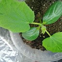 ���� ����, �������, 49 ��� - ��������� 18 ������ 2020 � ������ ��������� ��������
