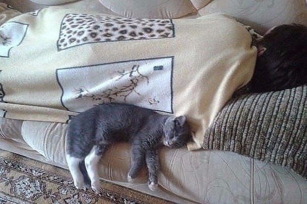 Человек, сломавший систему)))